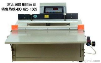 浙江绍兴豆腐真空包装机 双室食品真空包装机选购指南 - 厂家、价格与图片解析